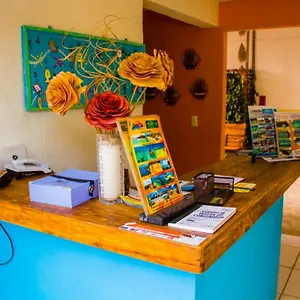Casa de hóspedes Costa Dourada, Pôrto das Galinhas